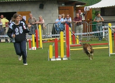 Du Grand Champ D' Aubertans - Sélectif GPF d'agility à Arc-Les-Gray....