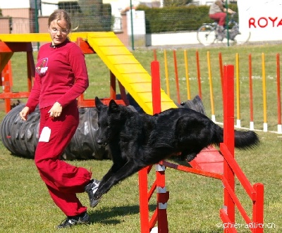 Du Grand Champ D' Aubertans - Concours de Arc Les Gray (séléctif GPF).........