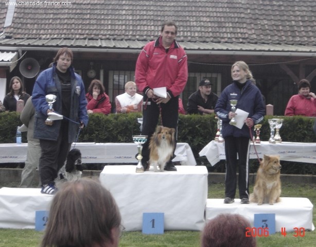 Du Grand Champ D' Aubertans - Sharly 2 fois champion d'Alsace