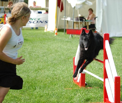 Du Grand Champ D' Aubertans - Sélectif GPF agility....