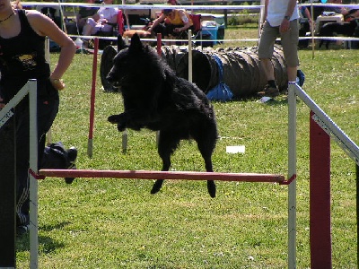 Du Grand Champ D' Aubertans - Championnat Régional........