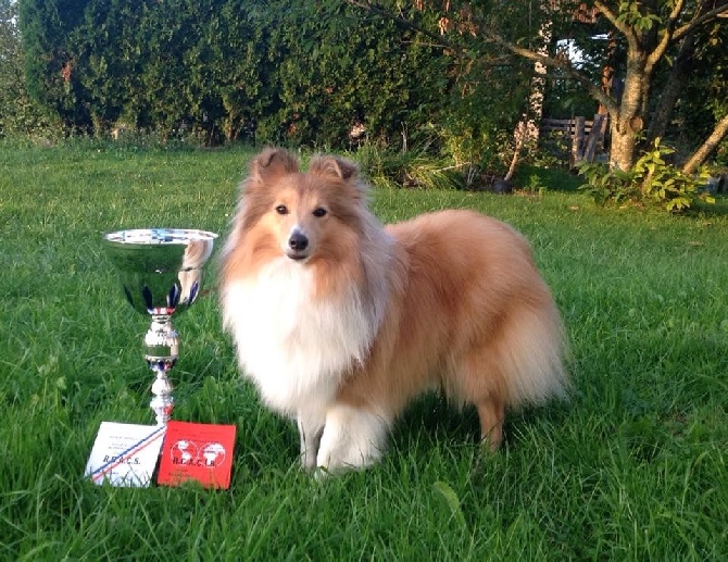 Du Grand Champ D' Aubertans - CACIB Besancon...