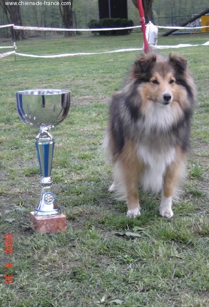 Du Grand Champ D' Aubertans - Marie-France et Idylle