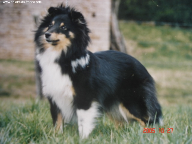 Salsa endiablée des Romarins de Mayerling